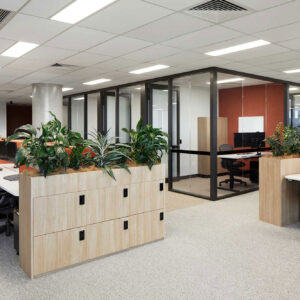 Newcastle CBD Office Fitout